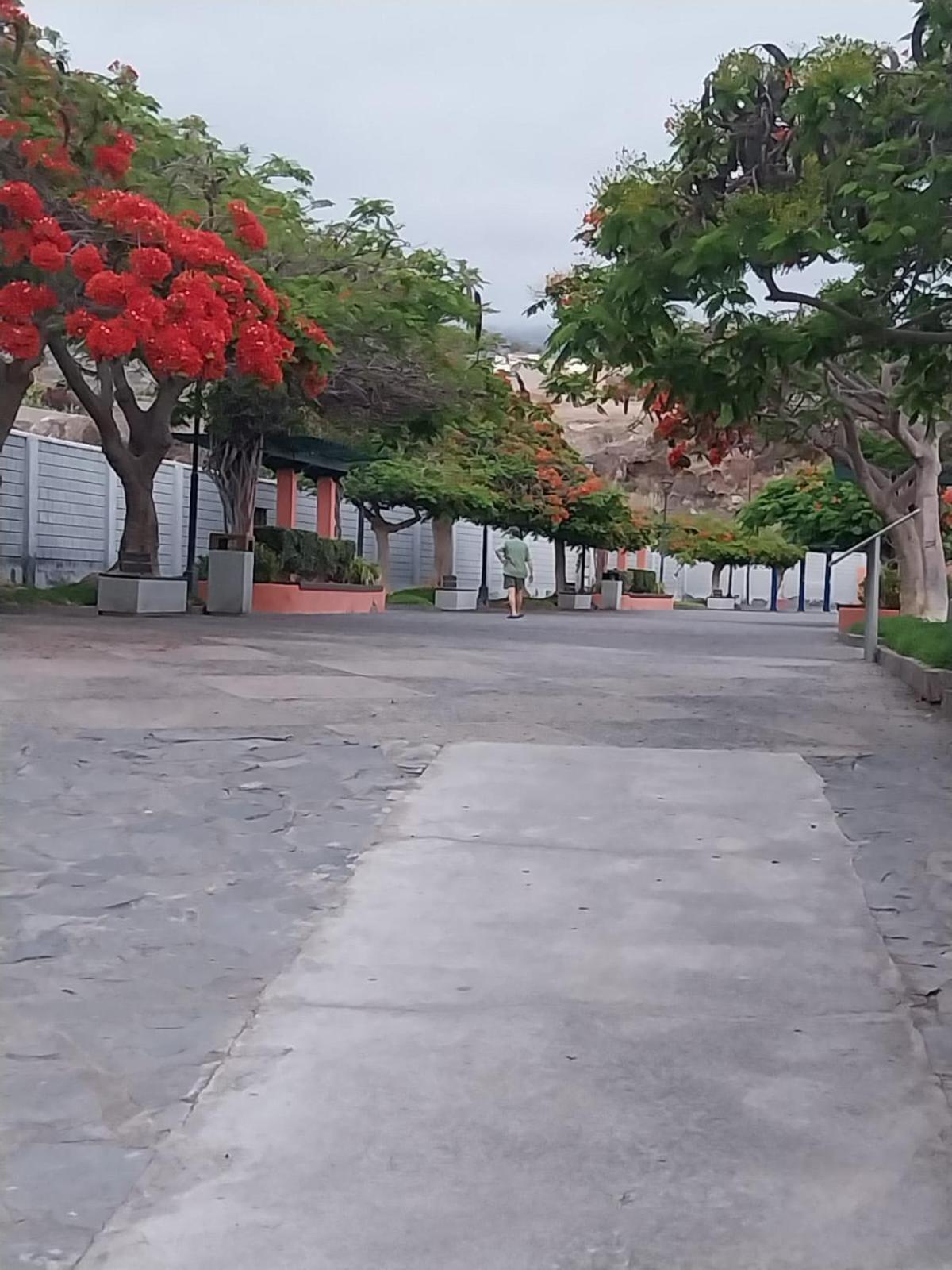 Mi Casita Tenerife Sur Free Wifi E Ac Arona  Buitenkant foto
